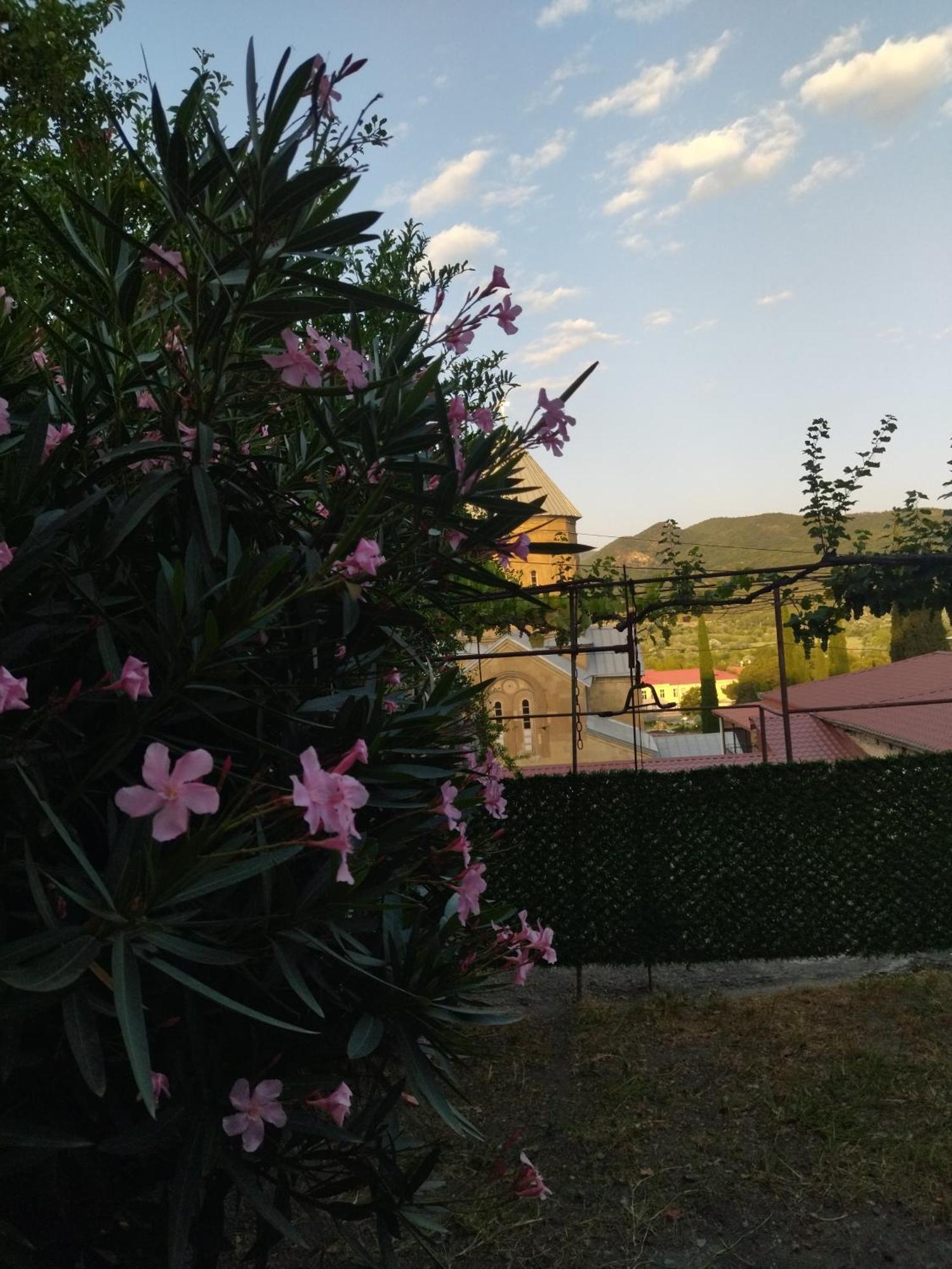 Hotel Garden And Panorama Mtsʼkhetʼa Zewnętrze zdjęcie